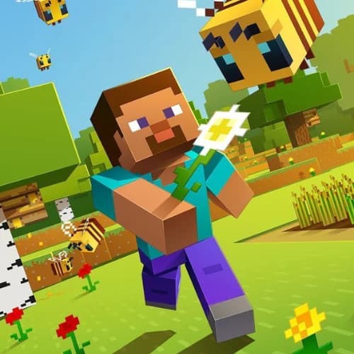 Minecraft Survival Action
